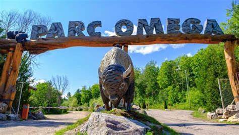 parc naturel omega canada|park omega booking.